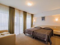 Стандарт TWIN