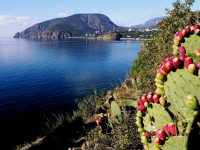 Санаторий «Утес» Алушта: плака