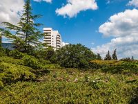 Санаторий «Форос». Парковая территория.