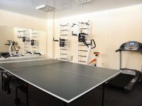 Настольный теннис