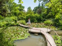 Санаторий «Форос». Пруд в парке.