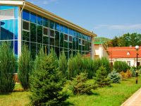 Санаторий Пирогова. Территория