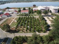 Санаторий Пирогова. Территория3