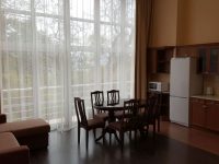 эксклюзив (3  к 4 м), кухня студия