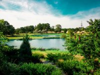 ТЕРРИТОРИЯ (3)