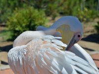 ТЕРРИТОРИЯ 3