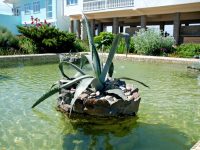 Бассейн на территории