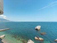 Джуниор.   Адмир