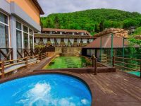 джакузи и бассейн