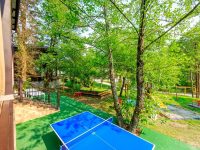 настольный теннис