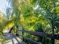 путь  к  пляжу